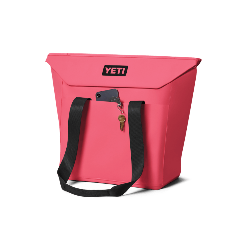 Daytrip® 20L Insulated Tote Bag